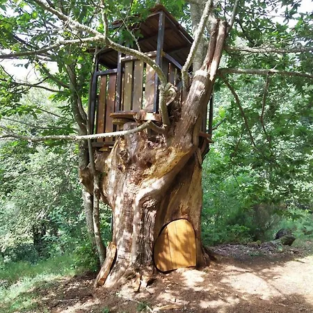 Apartmán Quinta Do Borges *