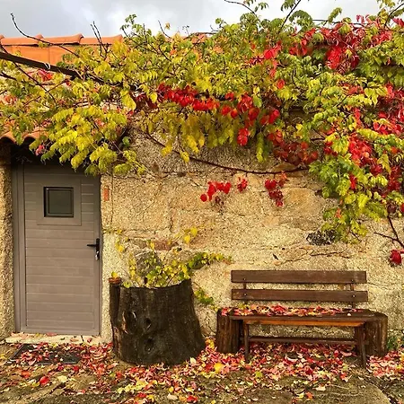 Quinta Do Borges
