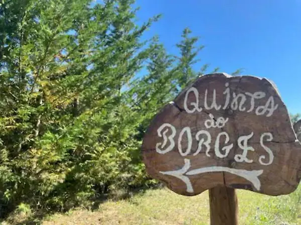 Quinta Do Borges * غوآردا