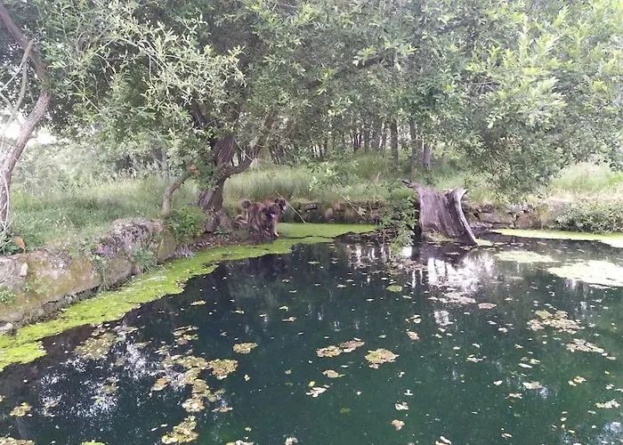 Quinta Do Borges Apartman